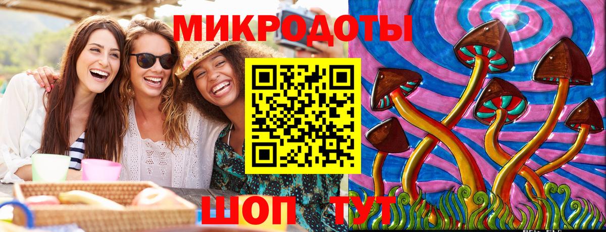 Избербаш  Галлюциногенные грибы Psilocybe  Вход с VPN 