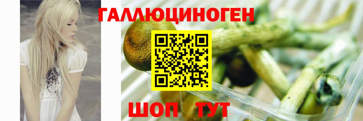Псилоцибиновые грибы прущие грибы Избербаш